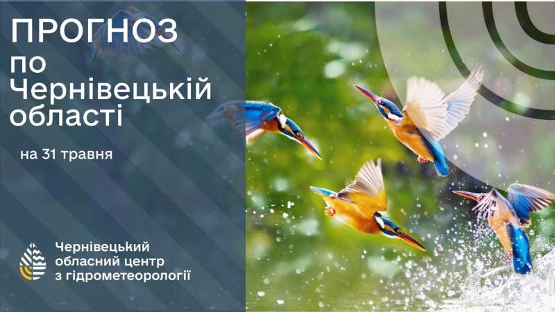 Погода на Буковині 31 травня