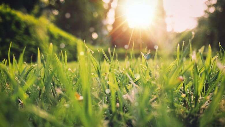 Короткочасні дощі та до 30°C тепла: якою буде погода на Буковині цього тижня
